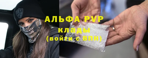 соль ск Нея