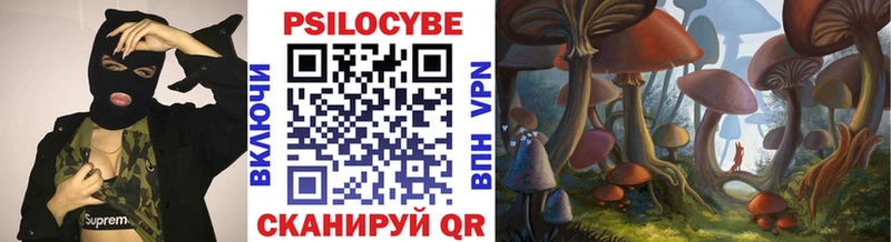 Псилоцибиновые грибы Cubensis  Купить где  Саки 